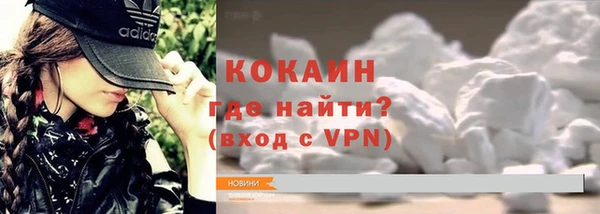 дживик Бронницы