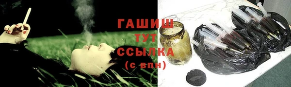 прущие грибы Верхний Тагил