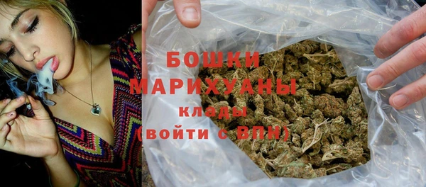 прущие грибы Верхний Тагил