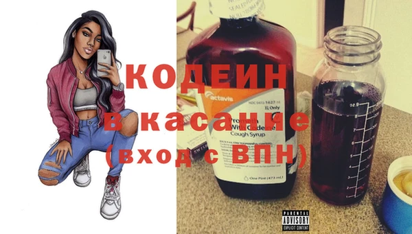 прущие грибы Верхний Тагил