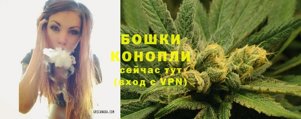 ешки Бугульма