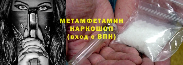 прущие грибы Верхний Тагил